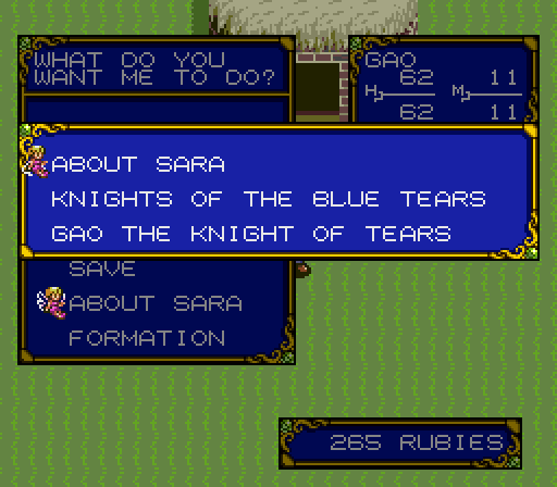 About Sara