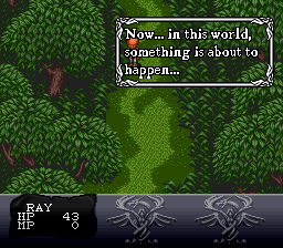 Dialogue in the forest